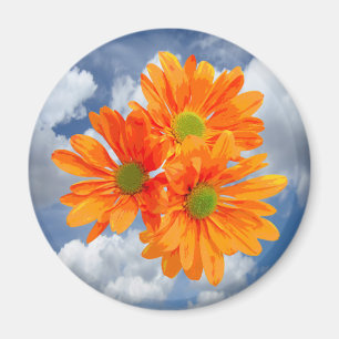 Nur 3 Gerbera Daisy Blüten + Ihr Text & Ideen Magnet