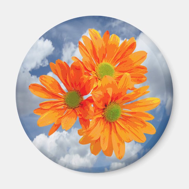 Nur 3 Gerbera Daisy Blüten + Ihr Text & Ideen Magnet (Vorne)