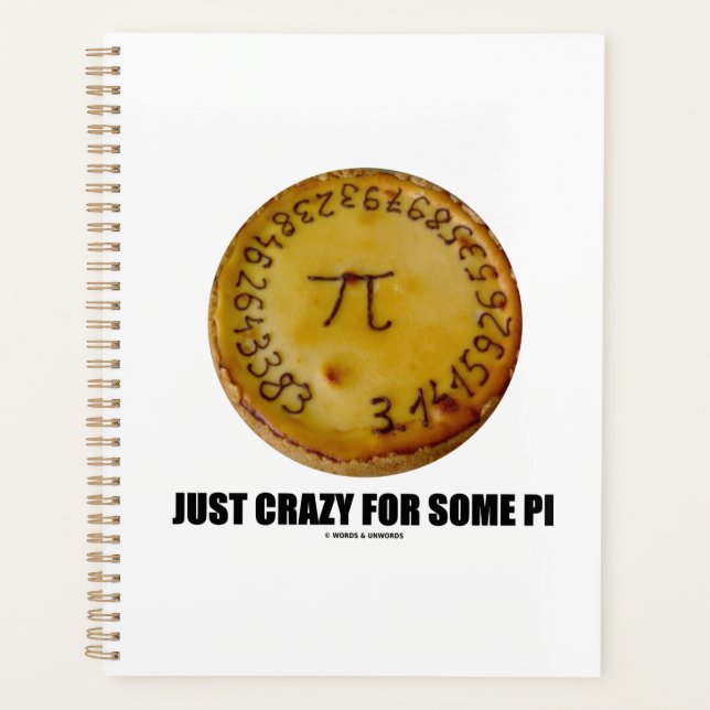 Nur Crazy für einige Pi (Pi / Pie Mathe Spaß) Planer (Vorderseite)