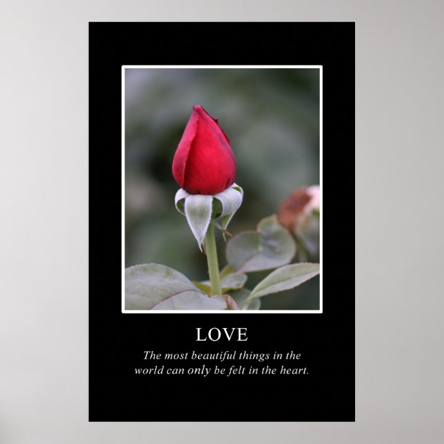 Nur das Herz kennt wahre Schönheit Poster (Vorne)