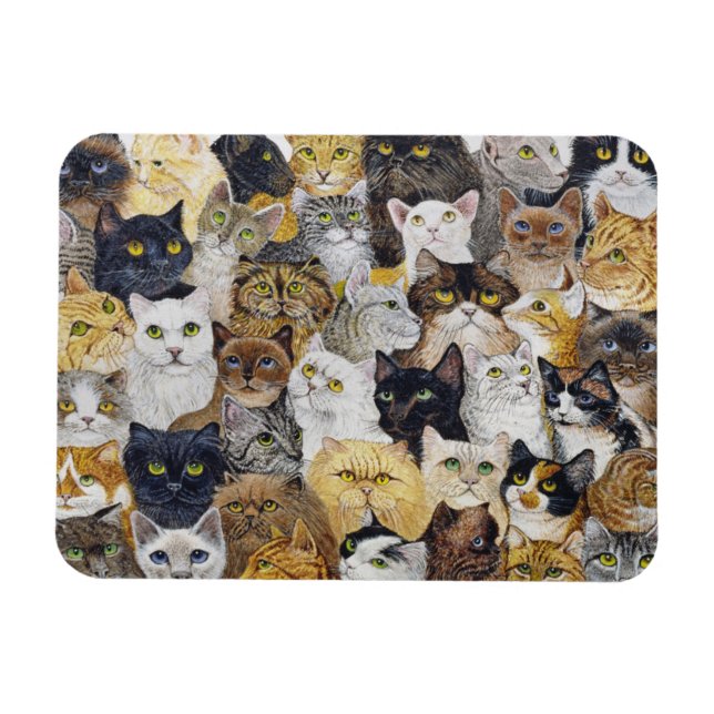 Nur der Katzenflüsterer Magnet (Horizontal)