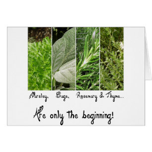 Nur die Anfang-Karte