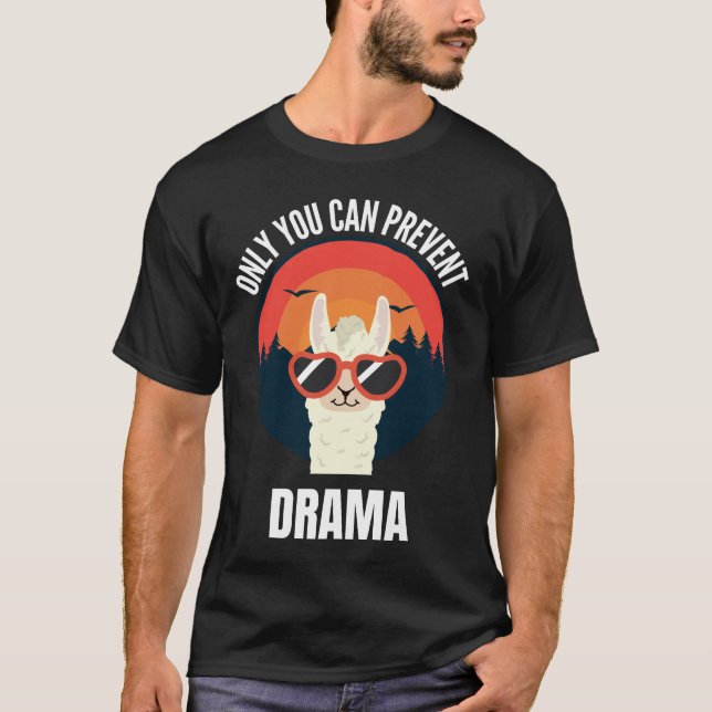 Nur du kannst Drama verhindern T-Shirt (Vorderseite)
