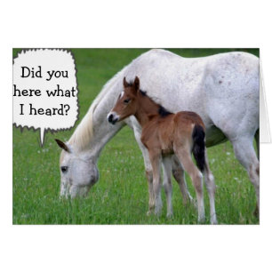 NUR DU KANNST NICHT "30" SEIN, SAGT PONY UND HORSE