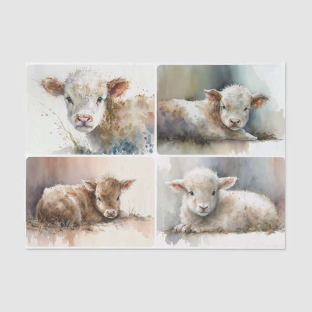 Nur ein Baby Seidenpapier (Vorderseite)