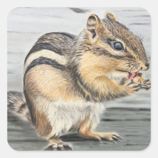 Nur ein Geschmack Quadratischer Aufkleber