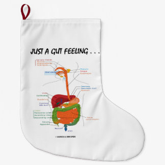 Nur ein Gut Gefühl... Spaß des Digestivsystems Großer Weihnachtsstrumpf