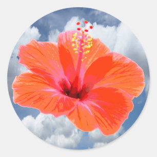 Nur ein Hibiskus Blossom + Ihr Text & Ideen Runder Aufkleber