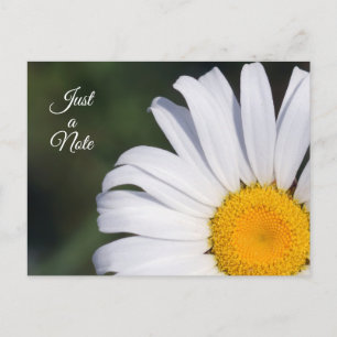 Nur ein Hinweis, der Daisy Postcard ausgleicht Postkarte