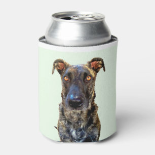 Nur ein in den Hundebieren Dosenkühler