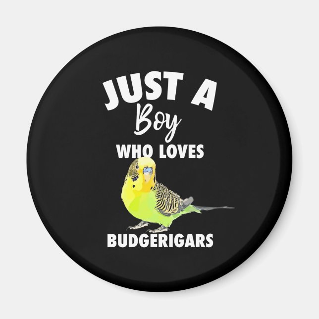 Nur ein Junge, der Budgerigars Paprot Liebe Magnet (Vorne)