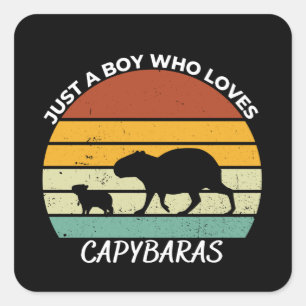 Nur ein Junge, der Capybaras Lieben Quadratischer Aufkleber