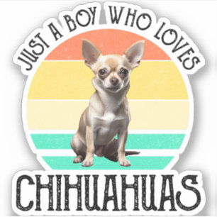 Nur ein Junge, der Chihuahuas Liebe Aufkleber