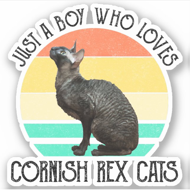 Nur ein Junge, der Cornish Rex Katzen liebt Aufkleber (Vorderseite)