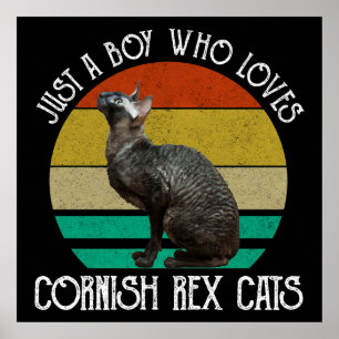Nur ein Junge, der Cornish Rex Katzen liebt Poster