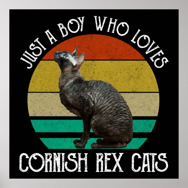 Nur ein Junge, der Cornish Rex Katzen liebt Poster (Vorne)