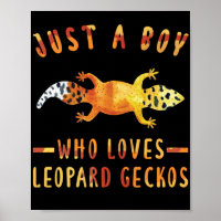 Nur ein Junge, der Leopard Geckos Lizard Liebe