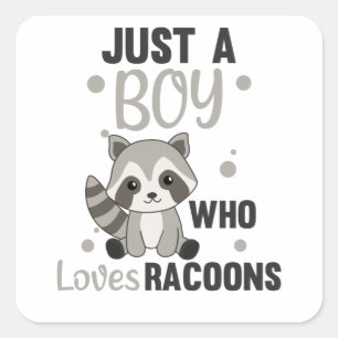Nur ein Junge, der Lieben Racoons Kawaii Raccoon Quadratischer Aufkleber