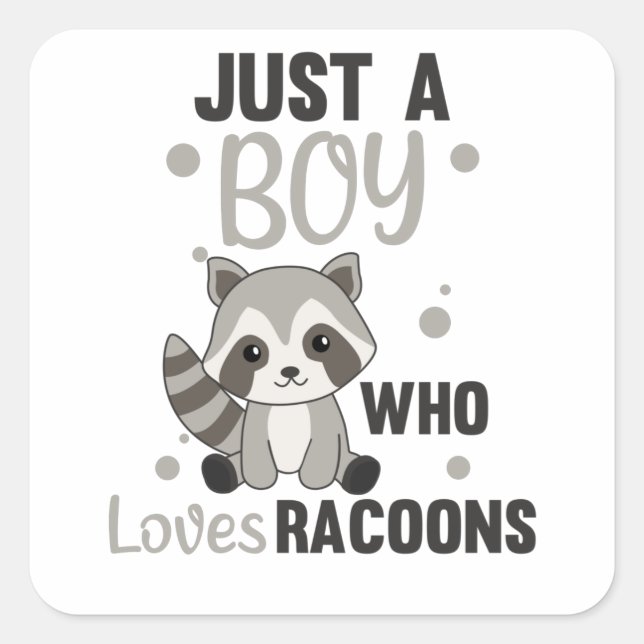 Nur ein Junge, der Lieben Racoons Kawaii Raccoon Quadratischer Aufkleber (Vorderseite)