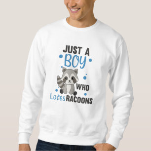 Nur ein Junge, der Lieben Racoons Kawaii Raccoon Sweatshirt