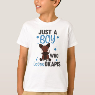 Nur ein Junge von Okapis-Lieben - Waldgiraffe Zebr T-Shirt