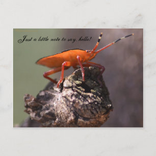 Nur ein kleiner Hinweis, hallo zu sagen! Postkarte