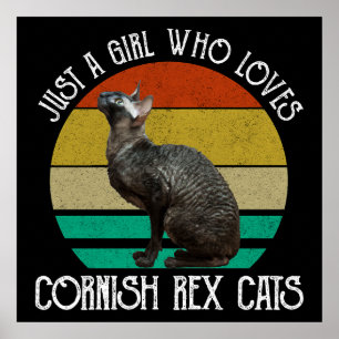 Nur ein Mädchen, das Cornish Rex Katzen liebt Poster