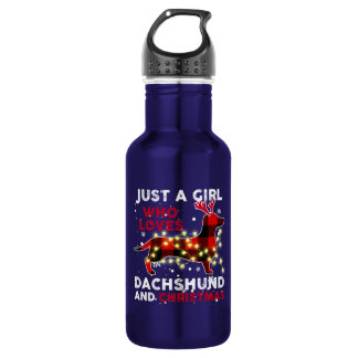 Nur ein Mädchen, das Dackel und Weihnachten Liebe Edelstahlflasche