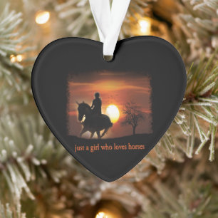 nur ein Mädchen, das Pferde Lieben Ornament