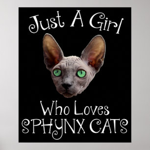 Nur ein Mädchen, das Sphynx-Katzen Liebe Poster