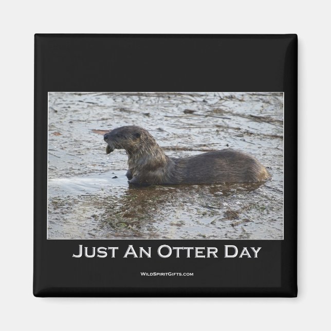 Nur ein Otter Day Geschenke Magnet (Vorne)
