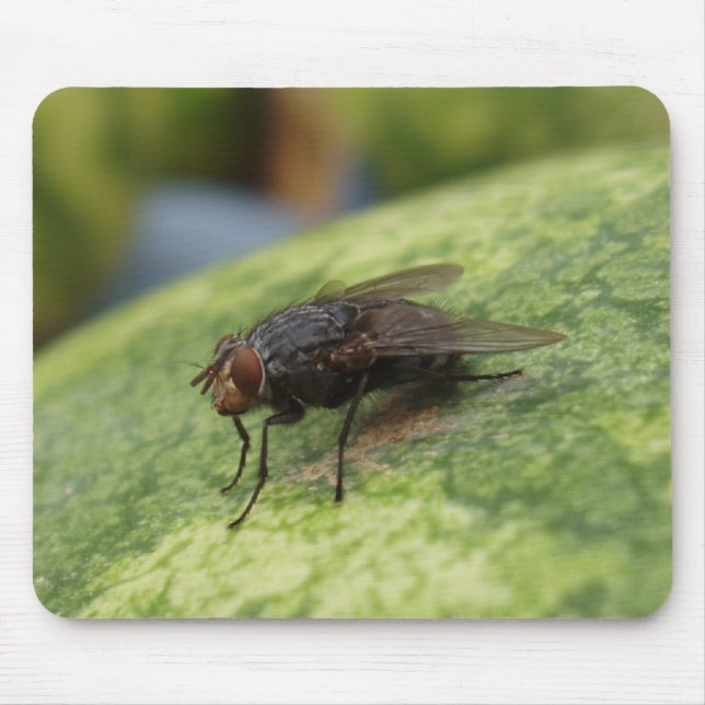 Nur ein verrücktes Bild Mousepad (Vorne)