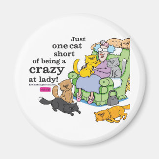 Nur eine Katze Kurz, eine verrückte Katze zu sein Magnet