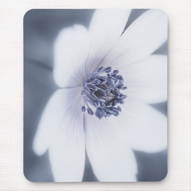 Nur eine kleine Wildblume Mousepad (Vorne)