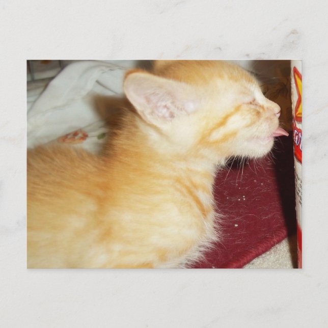 NUR EINE KLICKE POSTKARTE (Vorderseite)