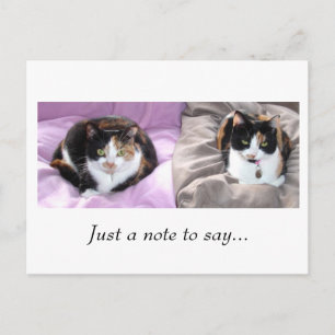 Nur eine Notiz zu sagen... Postkarte