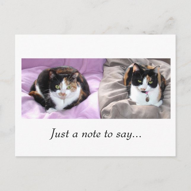 Nur eine Notiz zu sagen... Postkarte (Vorderseite)