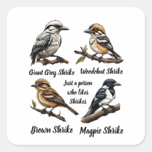 Nur eine Person, die gerne Shrikes mag Quadratischer Aufkleber