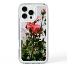 Nur eine Rose