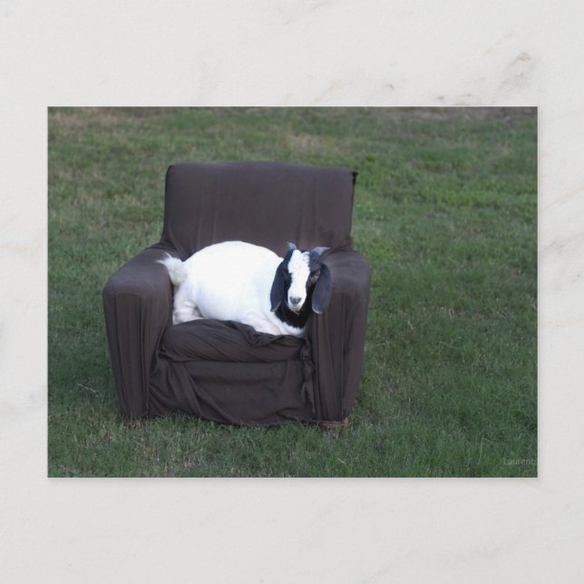 Nur entspannen postkarte (Vorderseite)