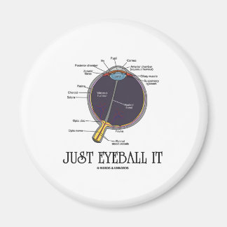Nur Eyeball It (Augenanatomie Annäherung Sprichwor Magnet