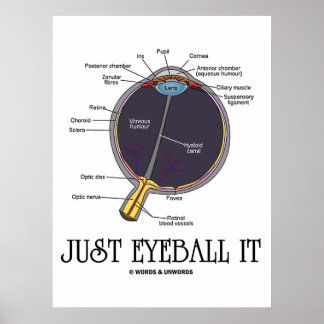 Nur Eyeball It (Augenanatomie Annäherung Sprichwor Poster