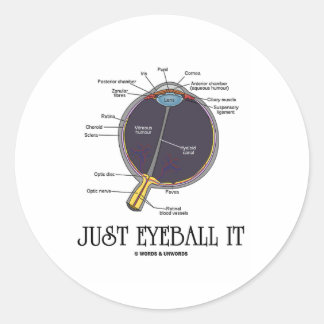 Nur Eyeball It (Augenanatomie Annäherung Sprichwor Runder Aufkleber