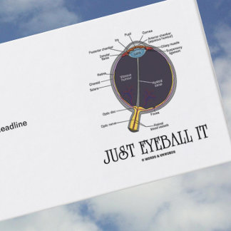 Nur Eyeball It (Augenanatomie Annäherung Sprichwor Visitenkarte