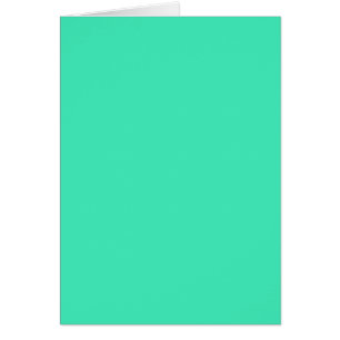 NUR FARBE - Minze