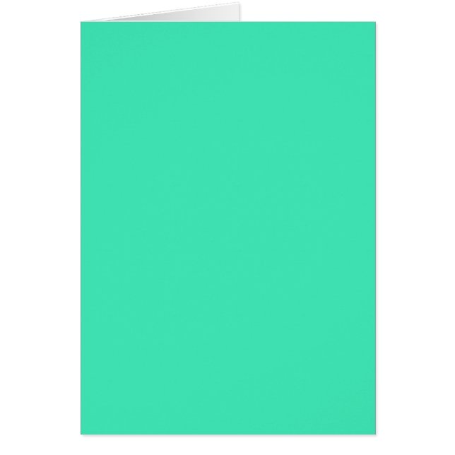 NUR FARBE - Minze (Vorne)