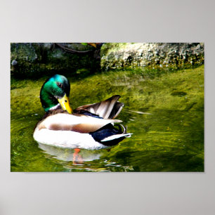 Nur fragen_ poster