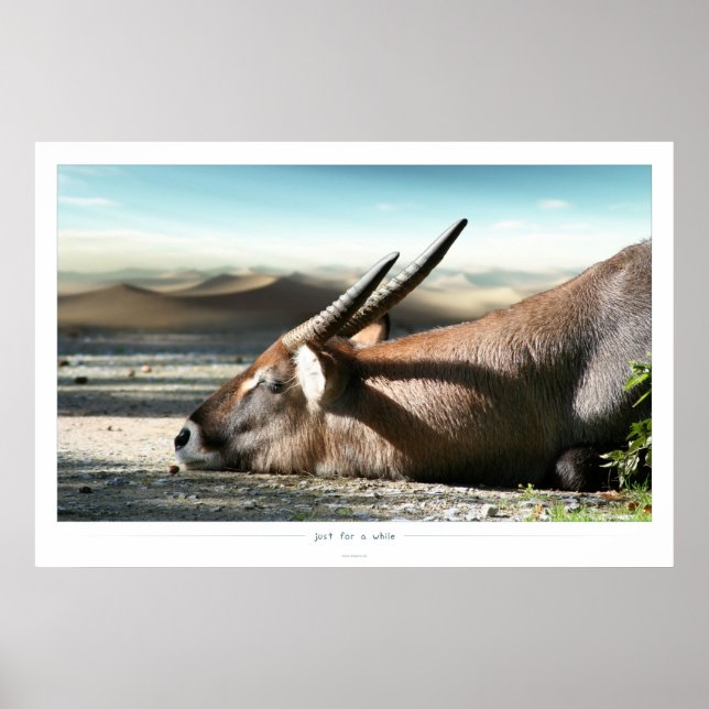 nur für eine Weile Poster (Vorne)