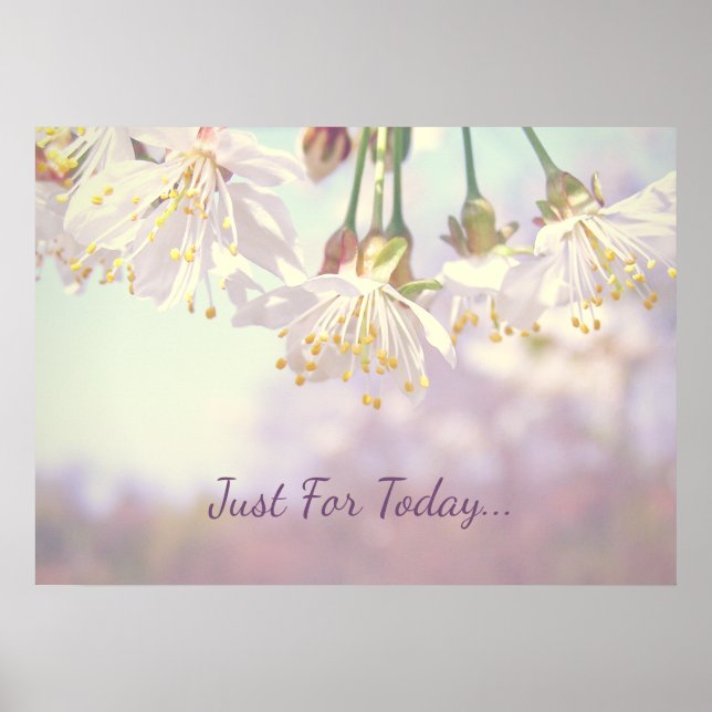 Nur für heute... poster (Vorne)