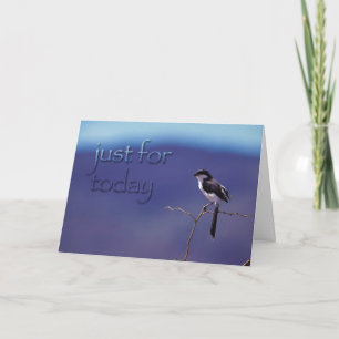 Nur für heute: Unterstützung von Erholung-Bird Karte